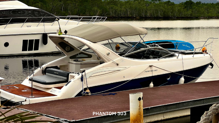 Phantom 303 - foto 4