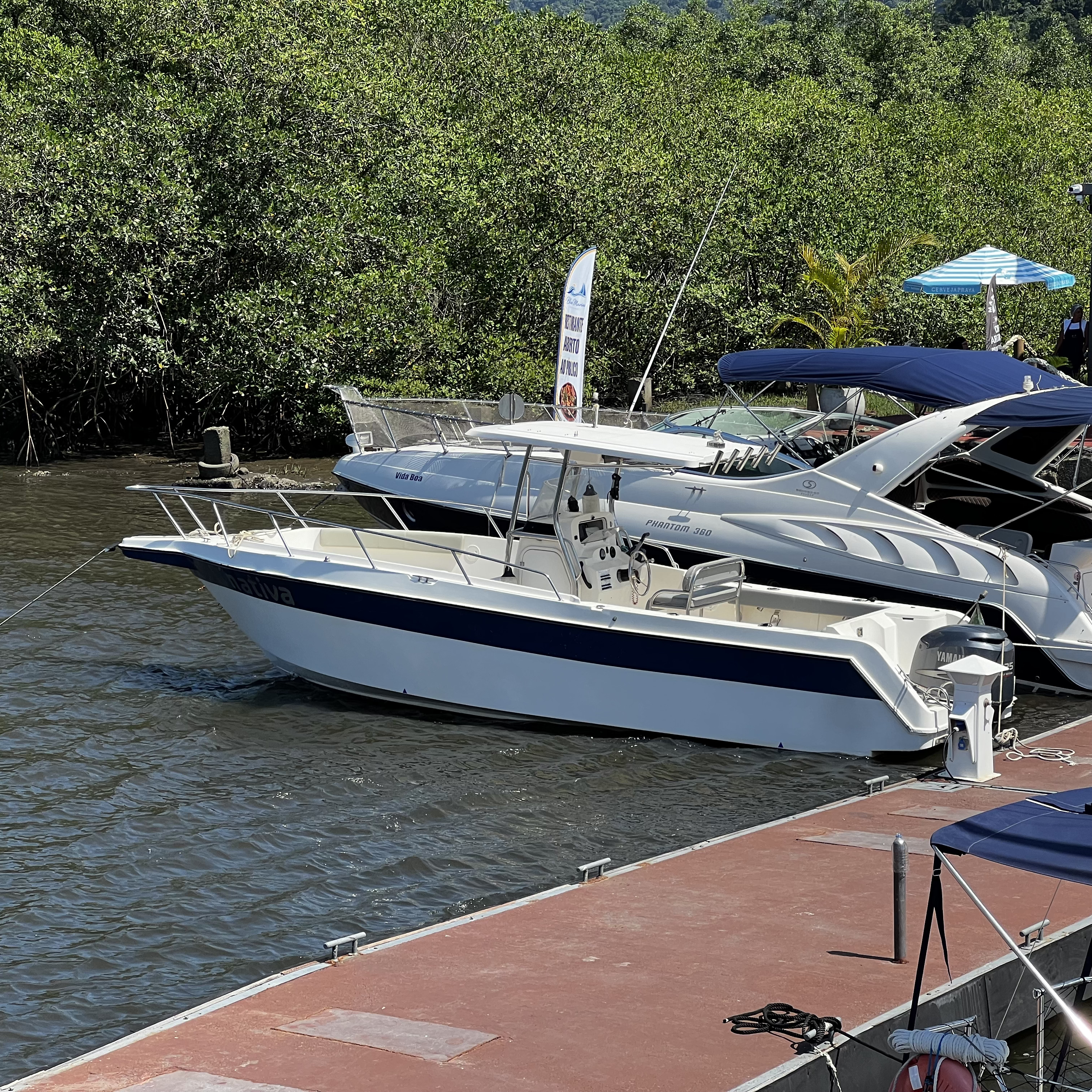 Wellcraft 260